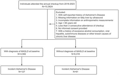 Metabolic-associated steatotic liver disease and risk of Alzheimer’s disease: a real-world retrospective cohort study